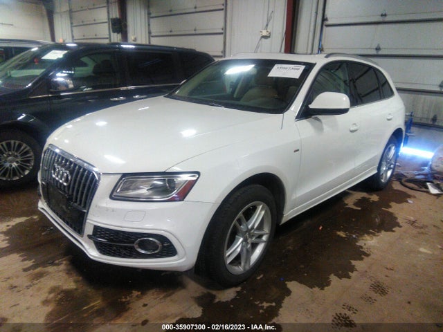 WA1DGAFP1EA013083 Audi Q5 Premium Plus