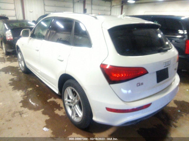WA1DGAFP1EA013083 Audi Q5 Premium Plus