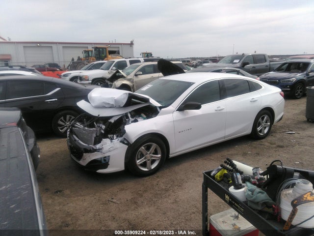 Chevrolet MALIBU LS 2023 1G1ZB5ST4PF114136 Image 2