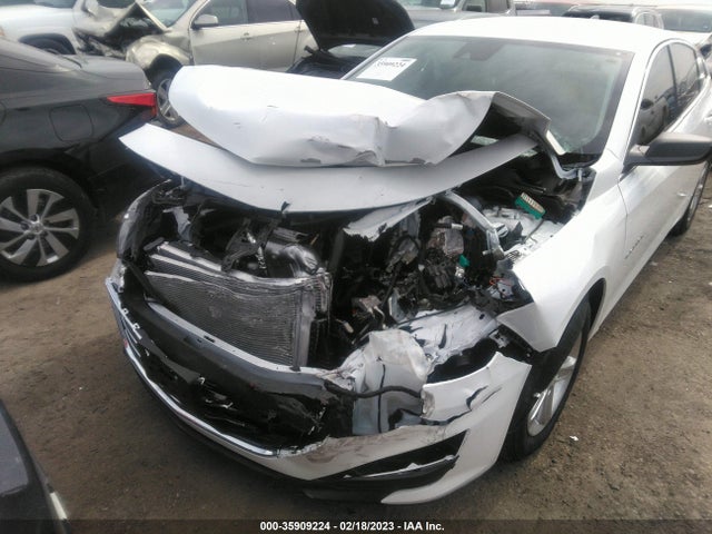 Chevrolet MALIBU LS 2023 1G1ZB5ST4PF114136 Image 6