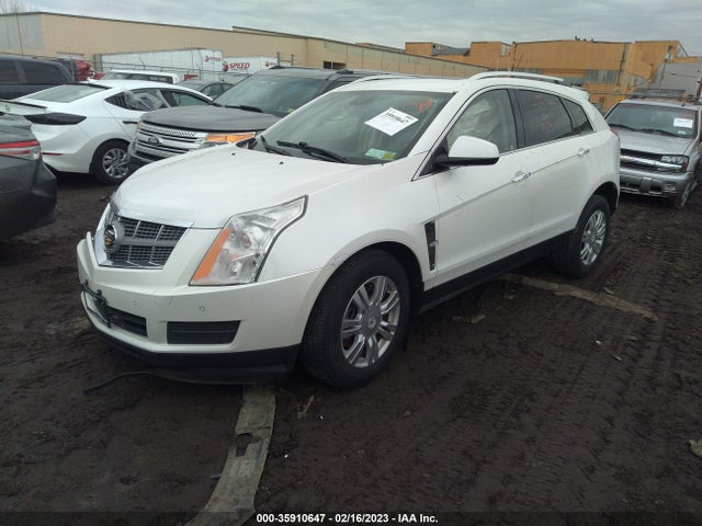 3GYFNAEY4BS545396 Cadillac Srx Luxury Collection