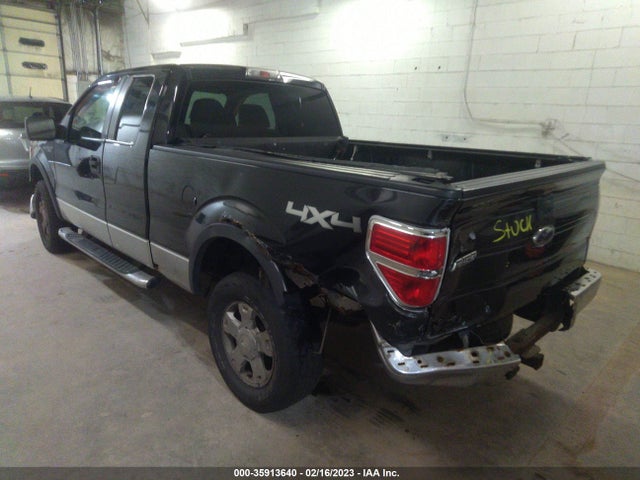 2010 FORD F-150 XL/STX/XLT VIN: 1FTEX1E81AFA45310