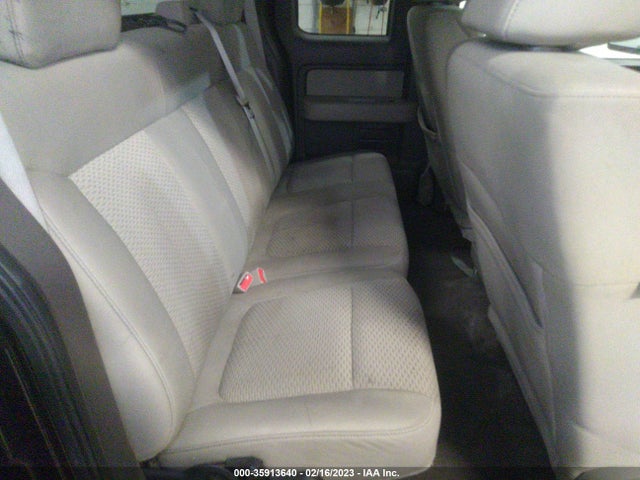 2010 FORD F-150 XL/STX/XLT VIN: 1FTEX1E81AFA45310