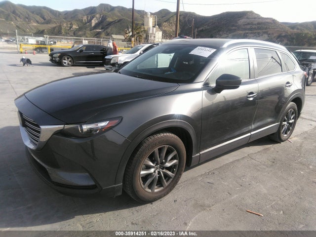 2020 Mazda CX-9, VIN: JM3TCABY1L0412839