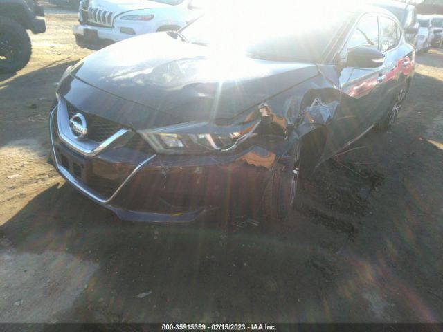 1N4AA6AP9HC452206 Nissan MAXIMA SV