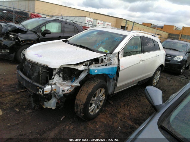 Cadillac SRX 2010 3GYFNDEY3AS631265 Image 2