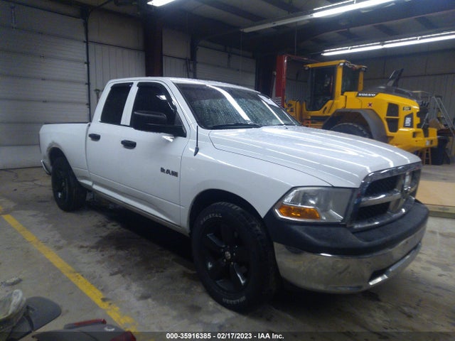 Dodge Ram 1500 St 2010 1D7RV1GP4AS151727 главное изображение