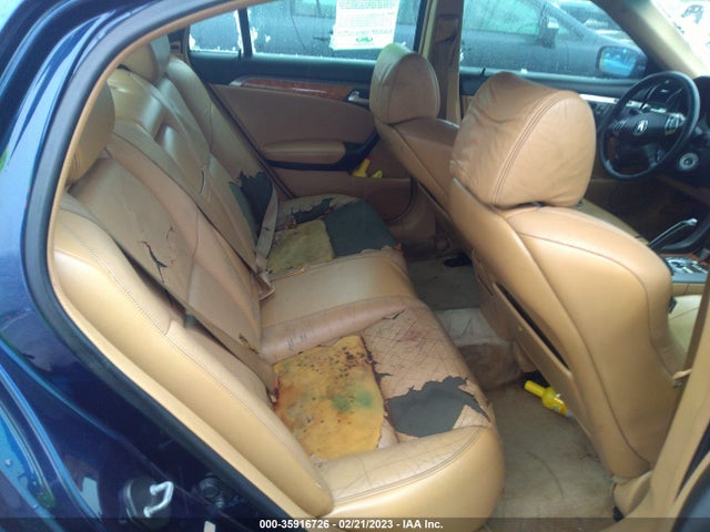 19UUA662X4A068785 Acura TL
