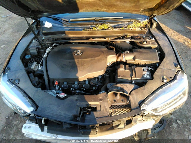 19UUB2F33KA003935 Acura TLX