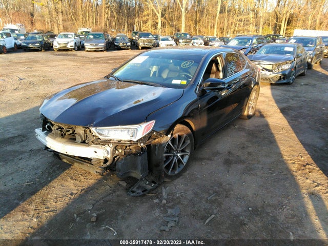 19UUB2F33KA003935 Acura TLX