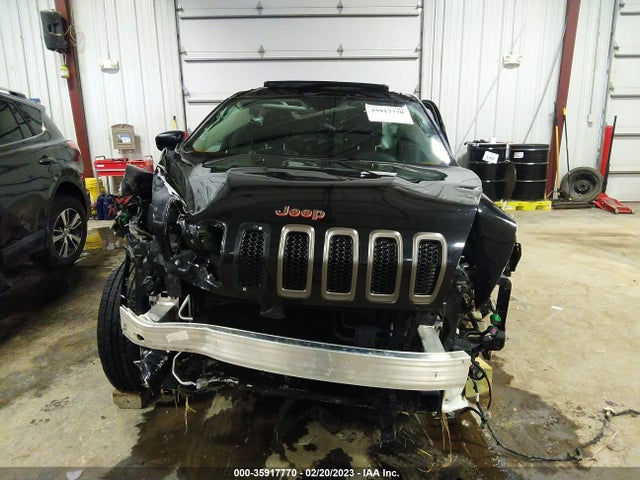 1C4PJMCB3GW255152 Jeep Cherokee 75th Anniversary