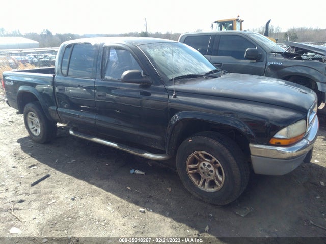Dodge DAKOTA SLT 2004 1D7HG48N34S640046 главное изображение