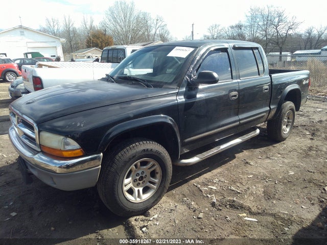 Dodge DAKOTA SLT 2004 1D7HG48N34S640046 Image 2