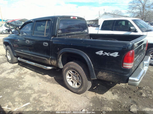 Dodge DAKOTA SLT 2004 1D7HG48N34S640046 Image 4