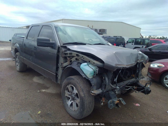 2013 FORD F-150 XLT VIN: 1FTEW1CM1DFB19302