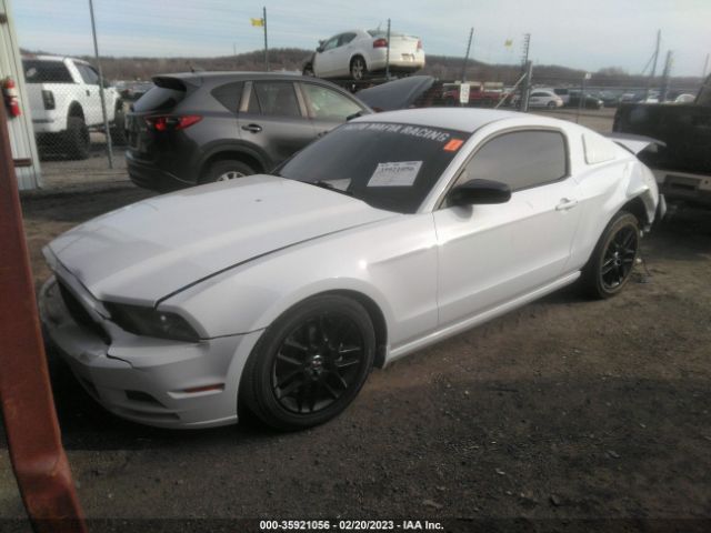1ZVBP8AM1E5270172 Ford Mustang V6