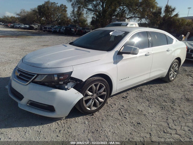 Chevrolet IMPALA LT 2019 1G11Z5SA4KU138061 Image 2