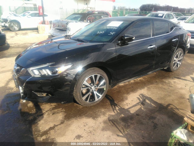 Nissan MAXIMA SV 2017 1N4AA6APXHC451081 Image 2