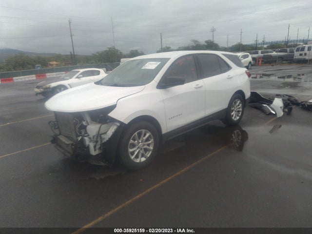 2019 CHEVROLET EQUINOX LS VIN: 3GNAXHEV9KS564221