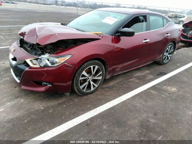 1N4AA6AP0GC441030 Nissan MAXIMA 3.5