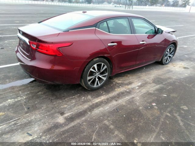 1N4AA6AP0GC441030 Nissan MAXIMA 3.5