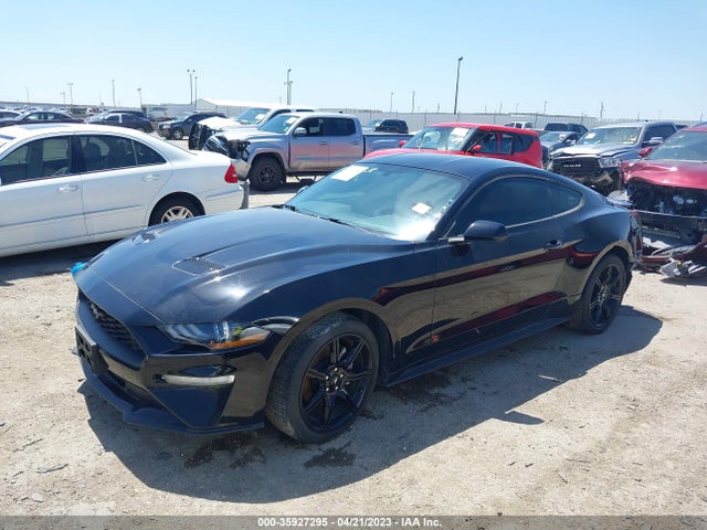 Ford Mustang Ecoboost 2019 1FA6P8TH8K5201582 Image 2