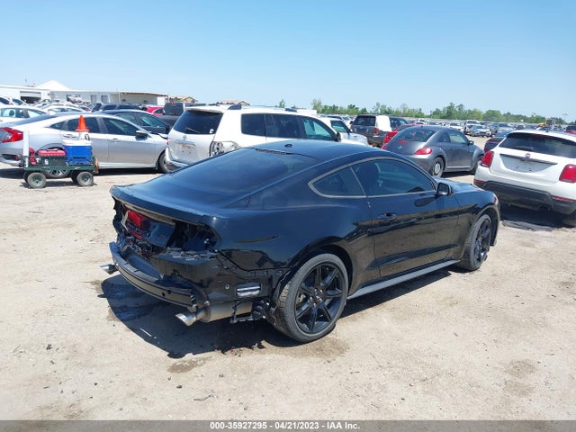 Ford Mustang Ecoboost 2019 1FA6P8TH8K5201582 Image 4