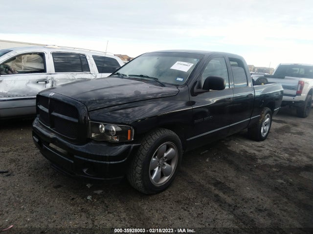 2002 DODGE RAM 1500 VIN: 1D7HA18N42J216846