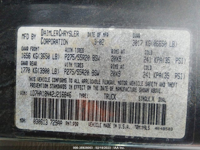 2002 DODGE RAM 1500 VIN: 1D7HA18N42J216846