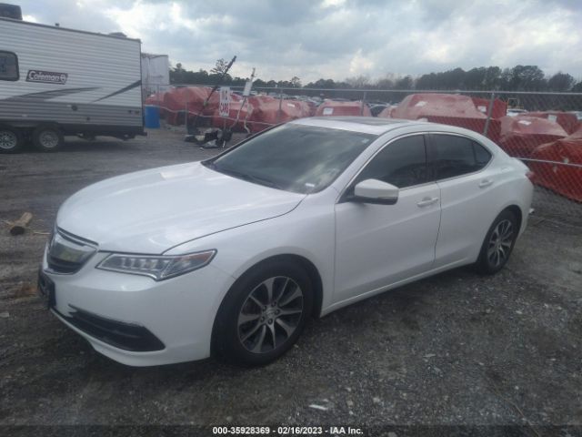 19UUB1F31FA024153 Acura TLX