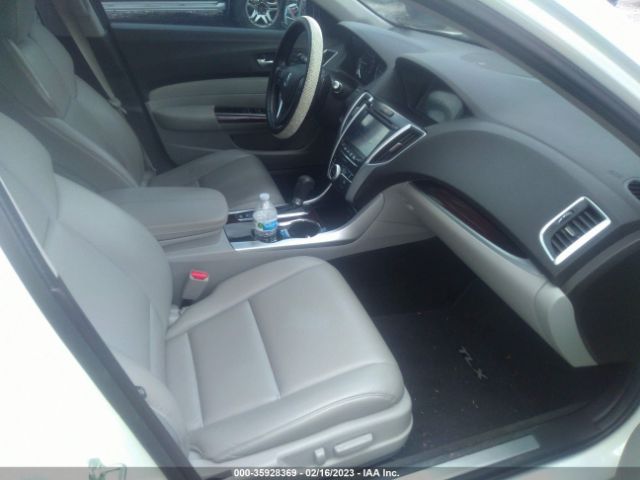 19UUB1F31FA024153 Acura TLX