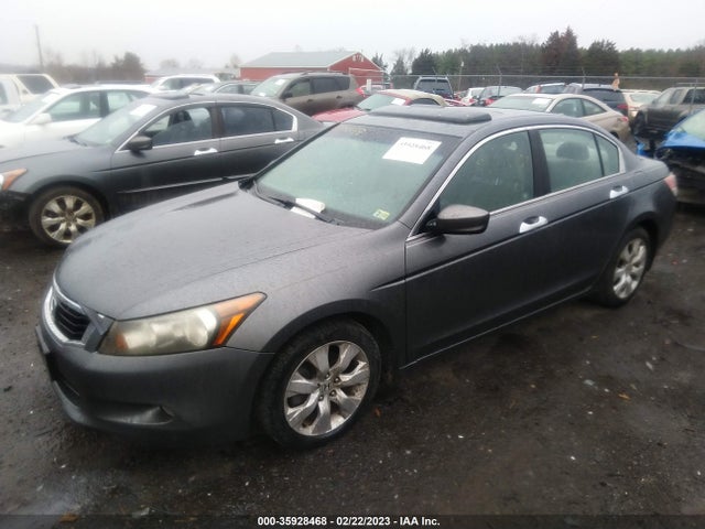 2010 HONDA ACCORD SDN EX-L VIN: 1HGCP3F85AA015324