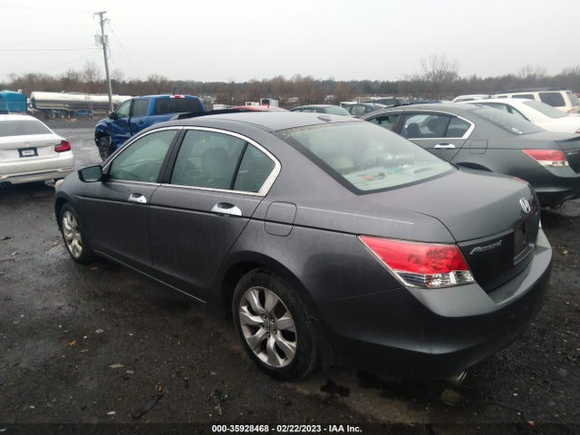 2010 HONDA ACCORD SDN EX-L VIN: 1HGCP3F85AA015324