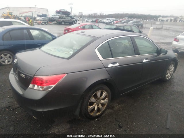 2010 HONDA ACCORD SDN EX-L VIN: 1HGCP3F85AA015324