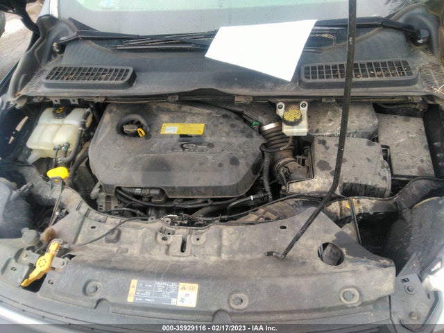 Ford ESCAPE SE 2014 1FMCU0GX7EUC06903 Image 10