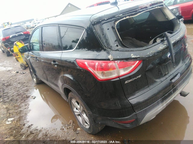 Ford ESCAPE SE 2014 1FMCU0GX7EUC06903 Image 3
