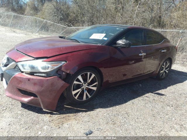 1N4AA6AP0HC410037 Nissan Maxima Platinum