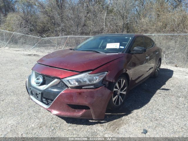 1N4AA6AP0HC410037 Nissan Maxima Platinum