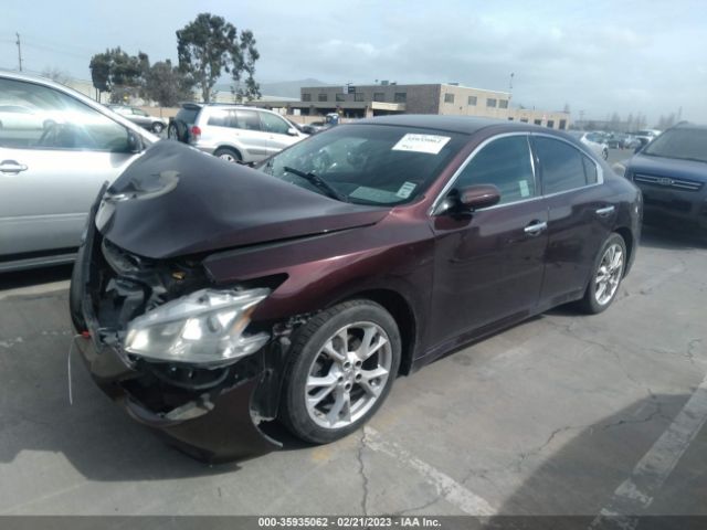1N4AA5AP2EC478832 Nissan Maxima 3.5 S
