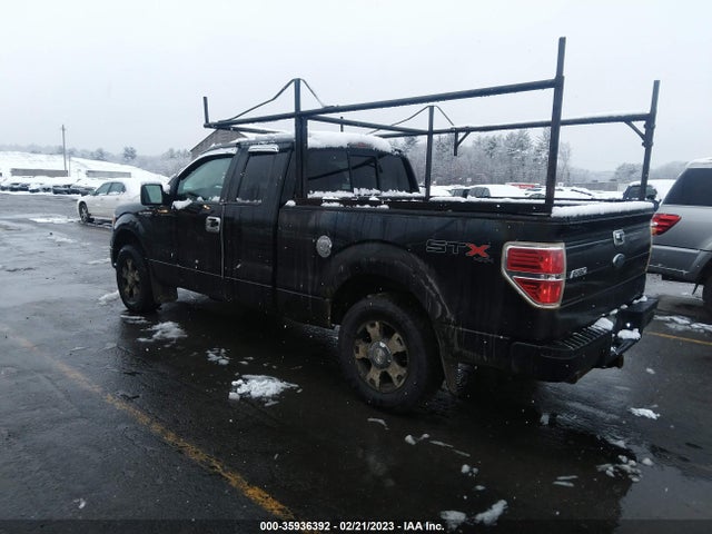 2010 FORD F-150 XL/STX VIN: 1FTEX1EW3AFA48398