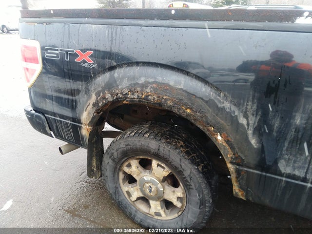 2010 FORD F-150 XL/STX VIN: 1FTEX1EW3AFA48398