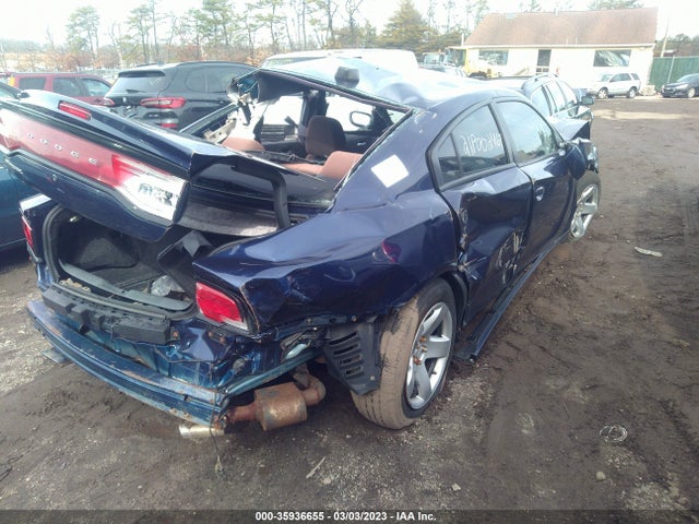 2013 DODGE CHARGER POLICE VIN: 2C3CDXAG1DH666117