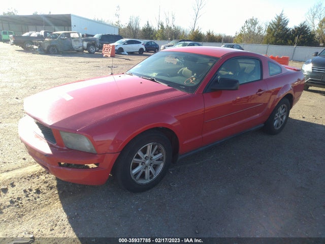 2008 FORD MUSTANG DELUXE/PREMIUM VIN: 1ZVHT80N285181392