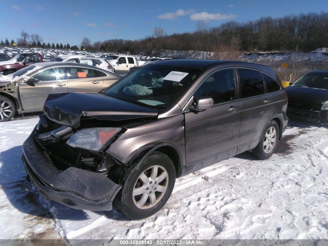 2009 HONDA CR-V EX-L VIN: 5J6RE48729L054813