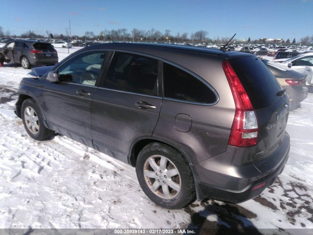 2009 HONDA CR-V EX-L VIN: 5J6RE48729L054813