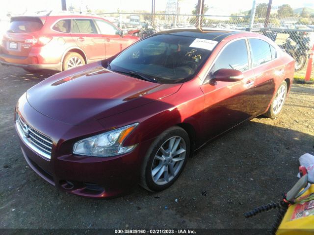 1N4AA5AP5AC826438 Nissan Maxima 3.5 Sv W/premium Pkg