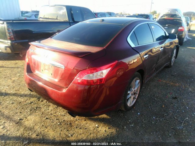 1N4AA5AP5AC826438 Nissan Maxima 3.5 Sv W/premium Pkg