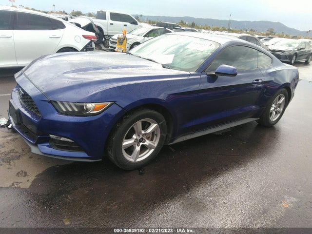 2015 Ford Fastback, VIN: 1FA6P8AMXF5342935
