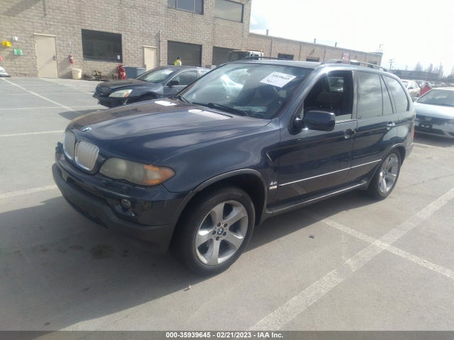 2005 BMW X5 4.4I VIN: 5UXFB53595LV18010