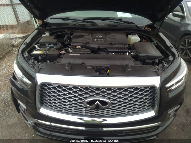 2023 Infiniti QX80, VIN: JN8AZ2AE6P9302256